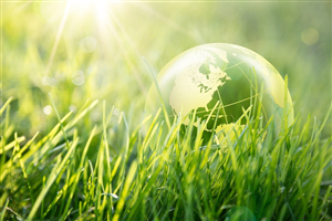 Piattaforma Ecologica