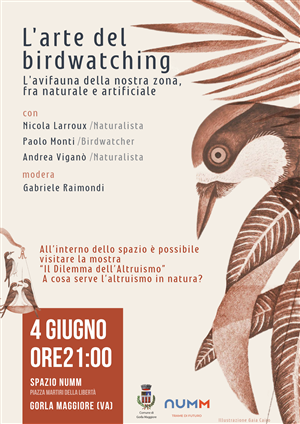 L'arte del Birdwatching