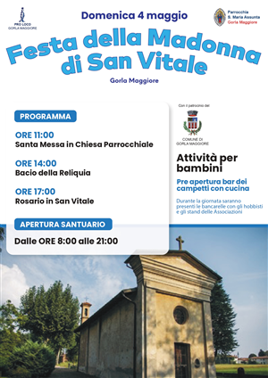 Festa della Madonna di San Vitale
